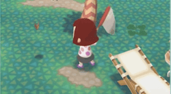 蝶を捕まえる前の画像