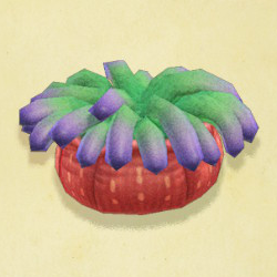 イソギンチャク