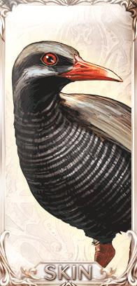 ヤンバルクイナ・ディアンサ