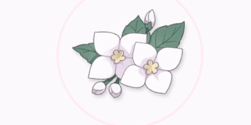 潔白なコサージュ