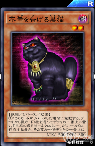 不幸を告げる黒猫