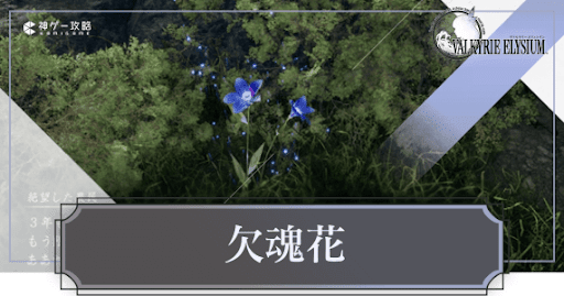 ヴァルキリーエリュシオン_欠魂花