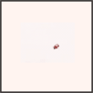 小悪魔のキャンディー