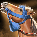 天下への道_アラブ馬