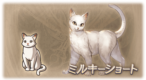 ミルキーショート・猫