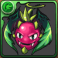 ドラゴンフルーツ