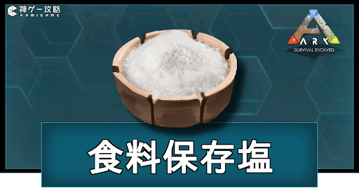 食料保存塩
