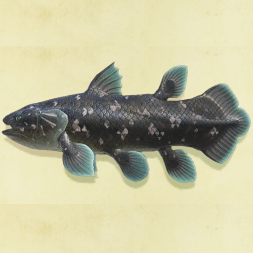 シーラカンスの値段と捕まえるコツ