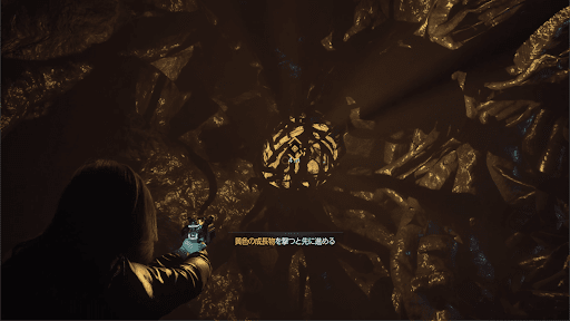 隕石を手に入れる