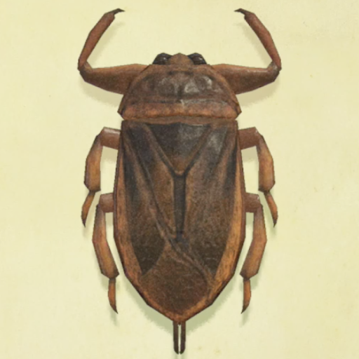 タガメの値段と捕まえるコツ