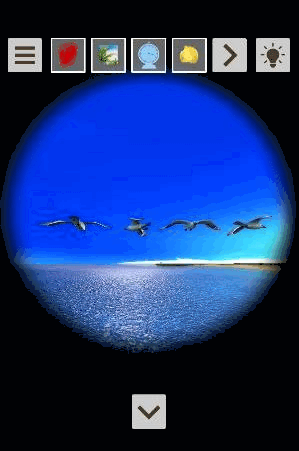 ビーチからの脱出-新作脱出げーむ_テキーラ