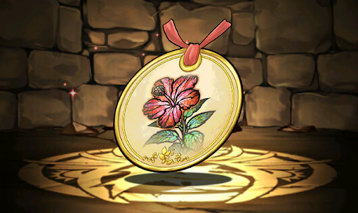 ハイビスカスの標本