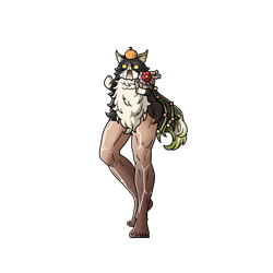 美脚イーウィヤスキンセット・イーウィヤ