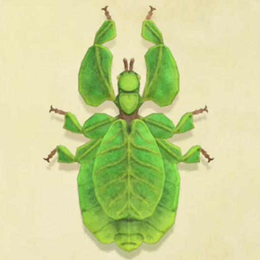 コノハムシの値段と捕まえるコツ