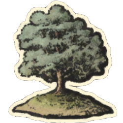 fgo-南の丘陵(序)