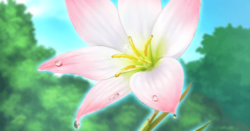 fgo-美しくも儚い花