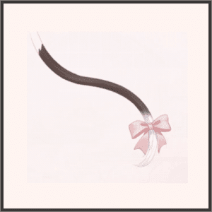 白黒ネコの尻尾