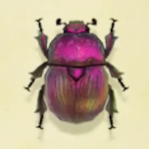 オオセンチコガネの値段と捕まえるコツ