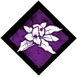 DbD_植物学の知識