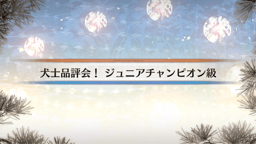 fgo-八犬伝イベント_犬士品評会！ジュニアチャンピオン級