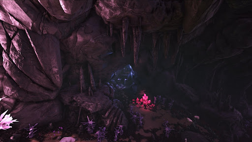 追跡者の洞窟_入口