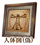 fgo-人体図