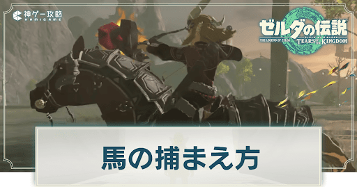 馬の捕まえ方と登録方法