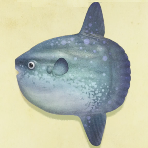 マンボウの値段と捕まえるコツ