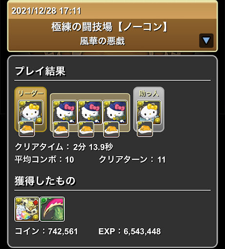 極練-サレーネキティパーティ