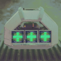 LARGE HEALTH PACK（100）