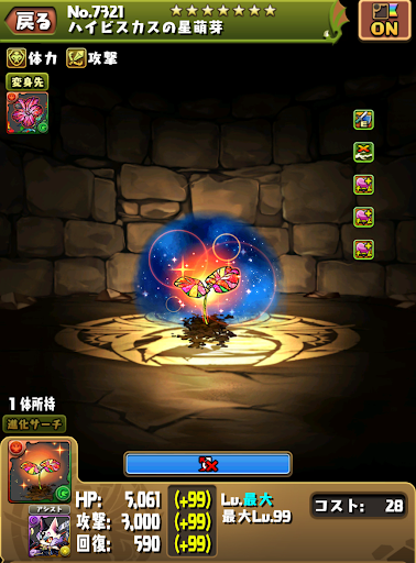 ハイビスカス機構城-リーダー