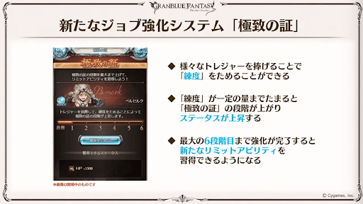 極致の証の内容