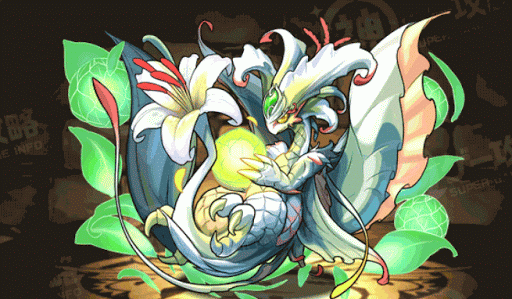 翠の華龍・カサブランカ