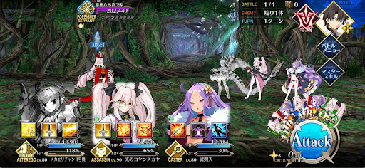 fgo-シャッターチャンスの予感がする……1戦
