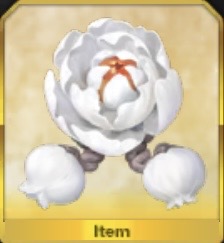 花園のコサージュ