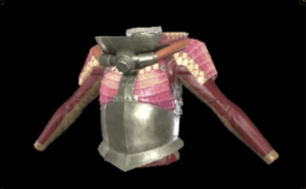 リノプロXメイル