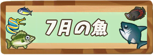 7月の魚一覧