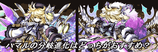 ハマル分岐比較