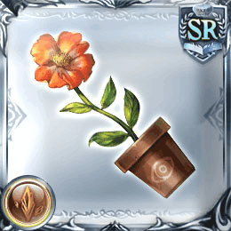 ダンスフラワー