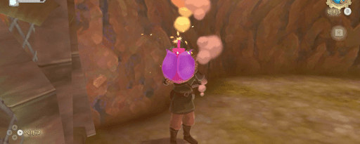 ゼルダSWS_バクダン花を補充してから先に進もう