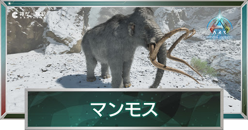 マンモス