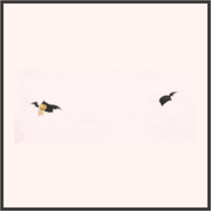 ハロウィンブレスレット