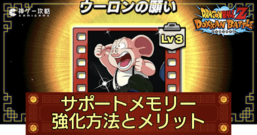 サポートメモリーの強化方法とメリット