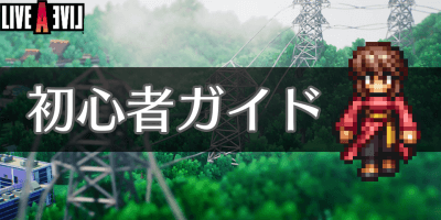 初心者ガイド