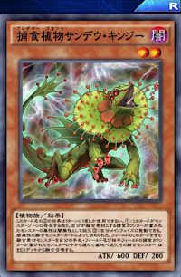 捕食植物サンデウ・キンジー