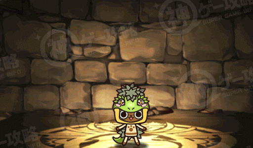 ブラッキィアイルー