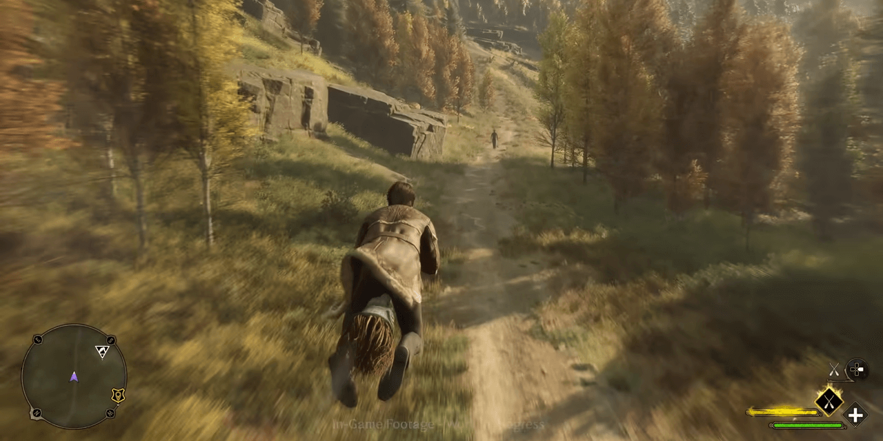 オープンワールドで広大な世界を冒険可能