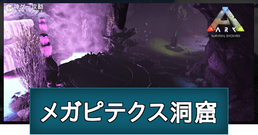 ARK_メガピテクス洞窟