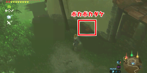 ゼルダBotW_ポカポカダケを撮影する