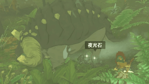 夜光石を食べ終わるのを待つ